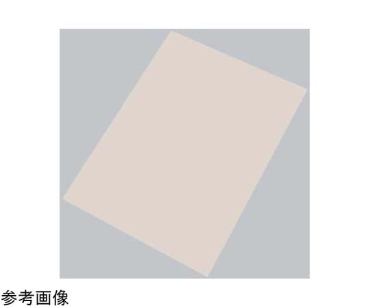 ホワイトサム ENDOベーキングシート(10枚入) 別寸  1組（ご注文単位1組）【直送品】