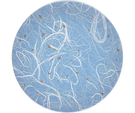 福井クラフト A150寿司皿 雲竜 水色 12043000 1個（ご注文単位1個）【直送品】