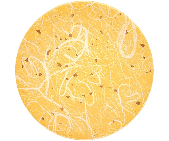 福井クラフト A150寿司皿 雲竜 イエロー 12043010 1個（ご注文単位1個）【直送品】