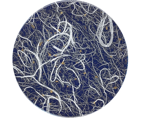 福井クラフト A150寿司皿 雲竜 ブルー 12042980 1個（ご注文単位1個）【直送品】