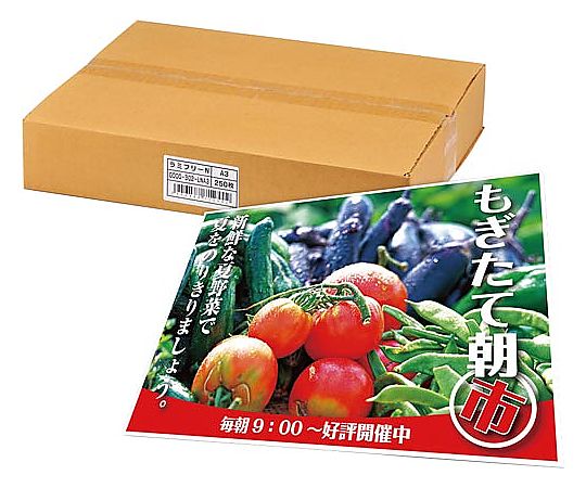 中川製作所 ラミフリーA3 250枚入 0000-302ーLNA3 1箱(ご注文単位1箱)【直送品】
