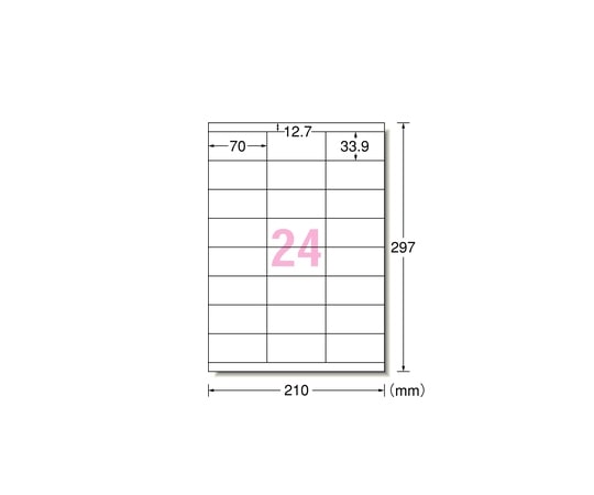 エーワン(A-ONE) プリンタ用ラベル 24面 上下余白付 1箱(500シート入) L24AM500N 1箱(ご注文単位1箱)【直送品】