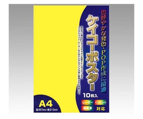ササガワ OA対応ケイコーポスター レモン 13-3185 1冊（ご注文単位1冊）【直送品】