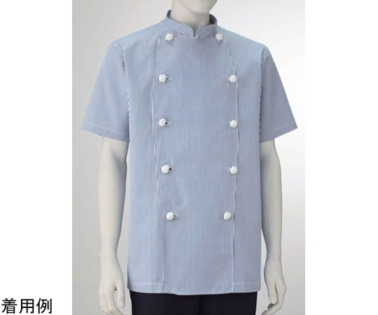 KAZEN 男子コックコート半袖 ストライプ L 412-99 L 1枚（ご注文単位1枚）【直送品】