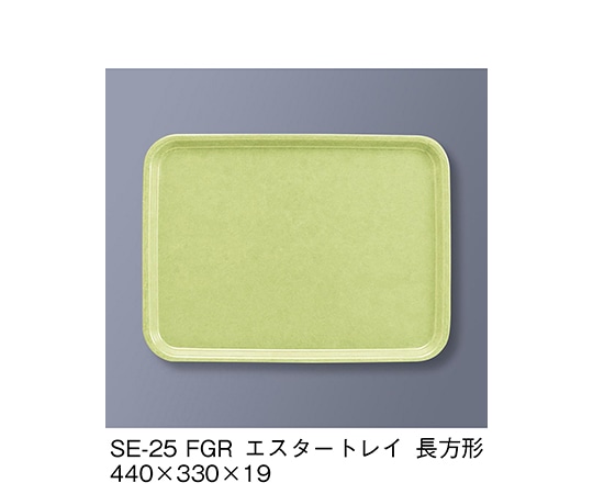 三信化工 エスタートレイ長方形 ファンタジックグリーン SE-25_FGR 1個（ご注文単位1個）【直送品】