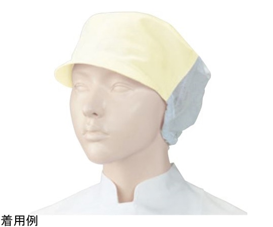 KAZEN ネット付キャップ2枚 クリーム フリー APK484-24 フリー 1組（ご注文単位1組）【直送品】