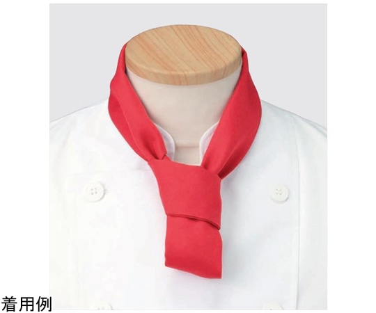 KAZEN スカーフ アカ フリー 1組(2枚入) APK498-7 フリー 1組（ご注文単位1組）【直送品】