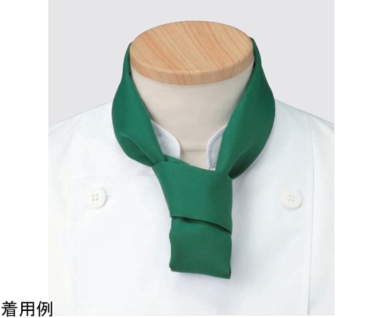 KAZEN スカーフ グリーン フリー 1組(2枚入) APK498-22 フリー 1組（ご注文単位1組）【直送品】