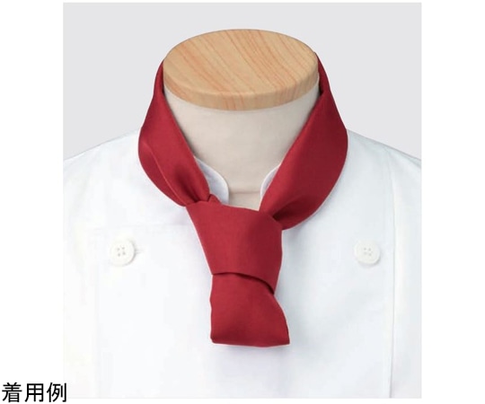 KAZEN スカーフ ワイン フリー 1組(2枚入) APK498-81 フリー 1組（ご注文単位1組）【直送品】