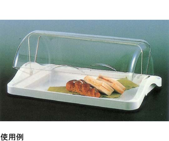 アズワン スナックケース(一段) 1881.00-11 1個(ご注文単位1個)【直送品】