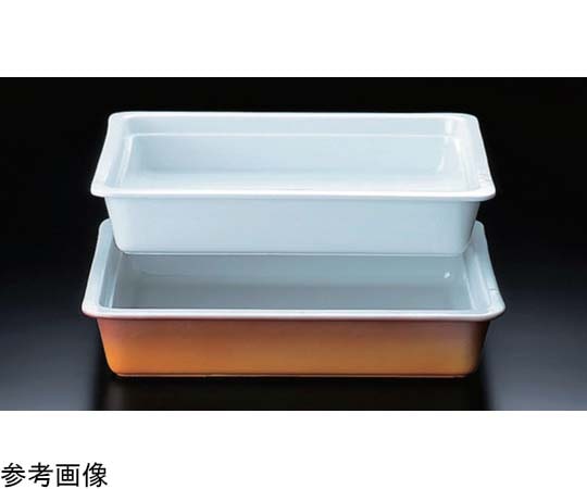 ロイヤル ロイヤル ガストロノームパン No.625 2/3サイズ ホワイト 浅型 PB625-05 1個（ご注文単位1個）【直送品】