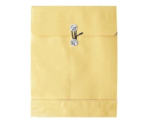 菅公工業 クラフトパッカー ホ259 1枚(ご注文単位1枚)【直送品】