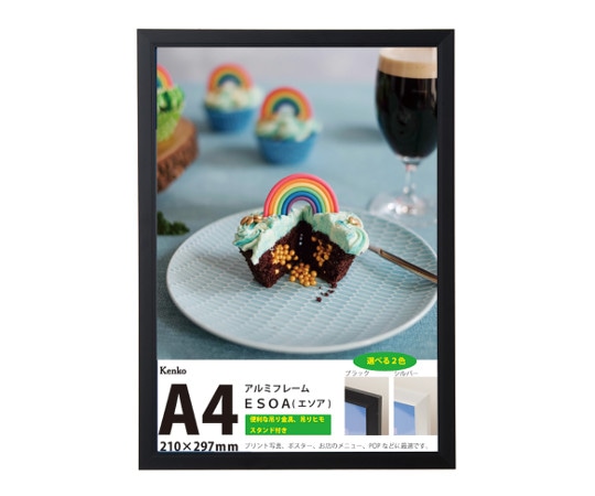 ケンコー・トキナー OAフレーム A4サイズ ブラック ES-A4-BK 1個(ご注文単位1個)【直送品】