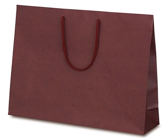 ベルベ 紙袋 手提袋 T-Y カラークラフト ワイン 100枚 1040 1ケース（ご注文単位1ケース）【直送品】
