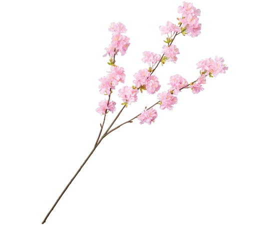 アズワン 桜大枝スプレー 90cm 3本 33-6-6-1 1本(ご注文単位1本)【直送品】
