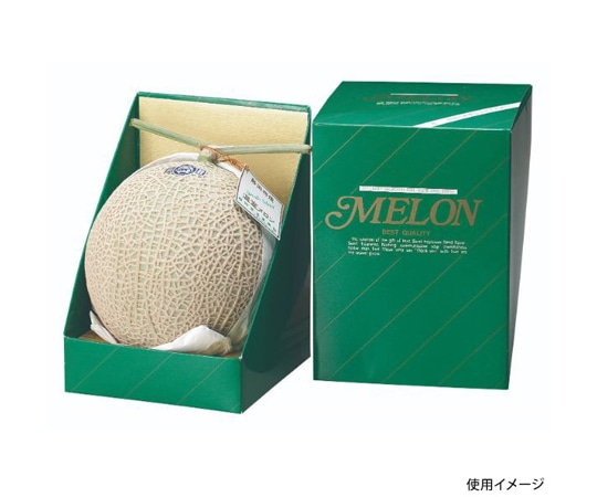 ヤマニパッケージ 青果用贈答箱 ヒナダングリーン 1個入 S 100枚 L-129S 1ケース（ご注文単位1ケース）【直送品】