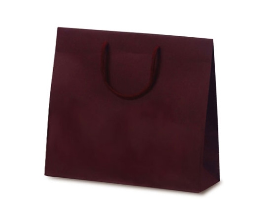 ベルベ 紙袋 手提袋 T-6 カラークラフト ワイン 100枚 1028 1ケース（ご注文単位1ケース）【直送品】