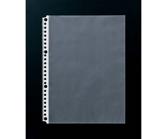 LIHITLAB クリヤーポケット B5縦 26穴 20枚 G49060 1パック(ご注文単位1パック)【直送品】