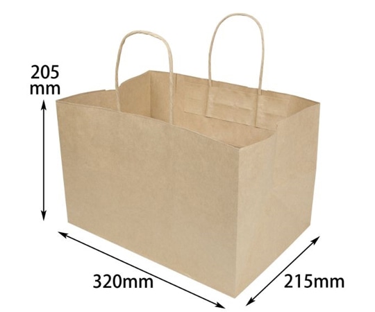 ヤマニパッケージ 紙袋 未晒手提袋 205 マチ広 200枚 19-595 1ケース（ご注文単位1ケース）【直送品】
