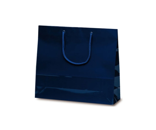 ベルベ 紙袋 ファインバッグ ネイビー 50枚 1174 1ケース（ご注文単位1ケース）【直送品】