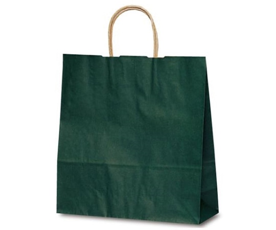 ベルベ 紙袋 自動紐手提袋 T-6 カラー(緑) 200枚 1664 1ケース（ご注文単位1ケース）【直送品】