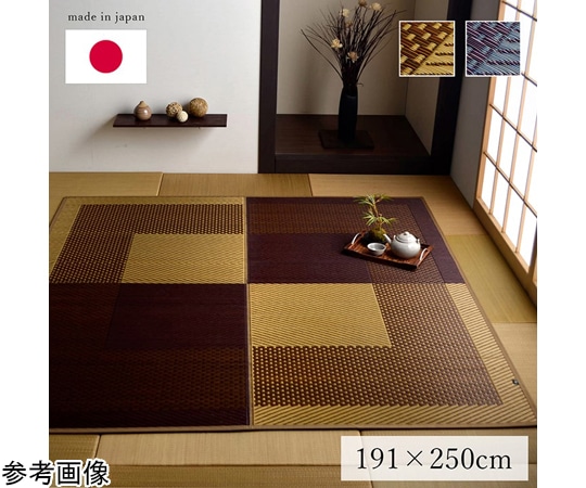 イケヒコ・コーポレーション ラグ 長方形 夏用 い草 シンプル 191×250cm ネイビー 1050940193904 1個（ご注文単位1個）【直送品】