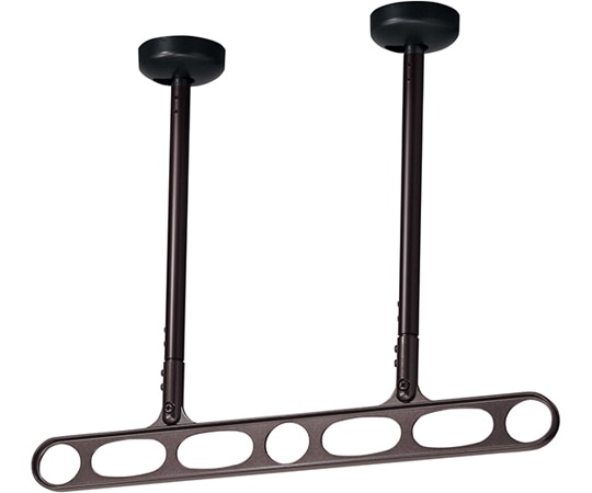 川口技研 ホスクリーン 軒天用 屋外物干し金物 ダークブロンズ 2本入 Z-207-DB 1セット（ご注文単位1セット）【直送品】