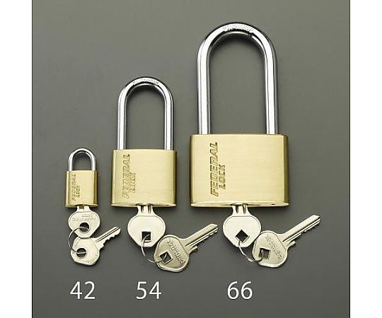 アズワン 50mm シリンダー南京錠(40mm吊長/同一キー) EA983SG-55 1個(ご注文単位1個)【直送品】