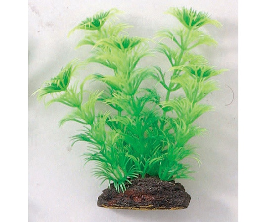 マルカン アクアティックプランツ M-6 NAP-365 1個（ご注文単位1個）【直送品】