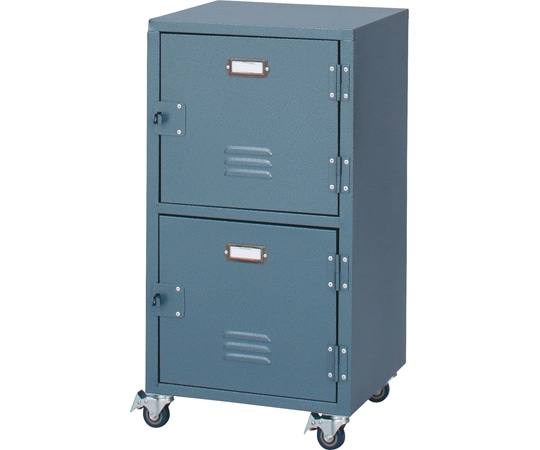 東谷 ラルド チェスト2D グリーン TPN-30GR 1個（ご注文単位1個）【直送品】