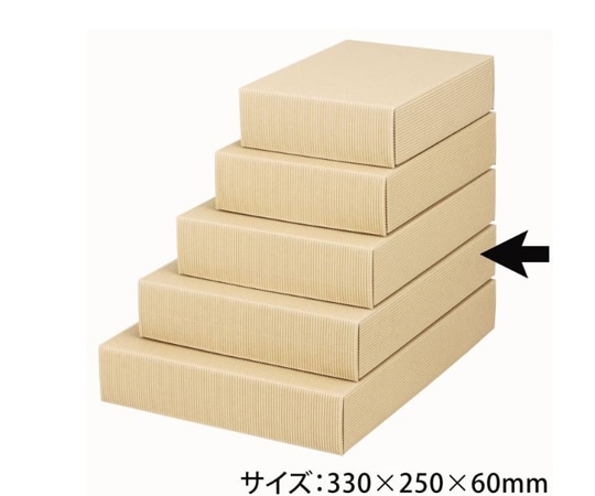 ヤマニパッケージ 贈答箱 ナチュラル60 大 50枚 16-63 1ケース（ご注文単位1ケース）【直送品】