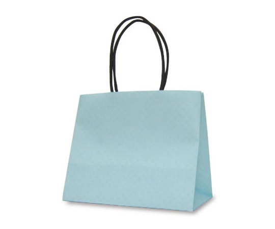 ベルベ 紙袋 手提袋 テミニン ベビーブルー 10枚 1469 1ケース（ご注文単位1ケース）【直送品】