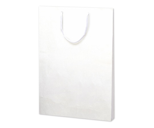 ササガワ 手提げ袋 額縁用 335×45×460mm 10枚入 50-6800 1包（ご注文単位1包）【直送品】