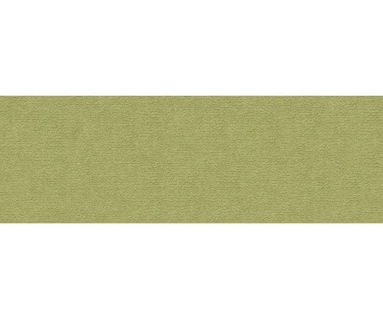 サンコー(生活用品) ペット用床保護マット 60×180cm グリーン KM-55 1枚（ご注文単位1枚）【直送品】