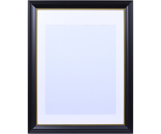 ケンコー・トキナー NEW肖像額縁 入山 338×428mm JSI-TA 1個(ご注文単位1個)【直送品】