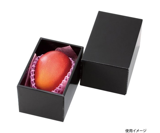 ヤマニパッケージ 青果用贈答箱 マンゴー金柑 BOX 100枚 L-2278 1ケース（ご注文単位1ケース）【直送品】