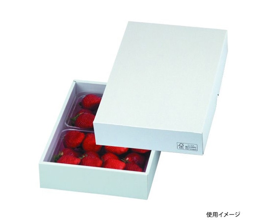 ヤマニパッケージ 青果用贈答箱 パール28 FS 50枚 LTO-28FS 1ケース（ご注文単位1ケース）【直送品】