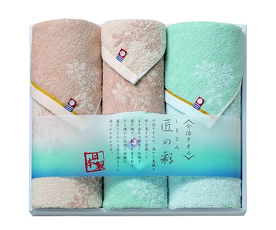 アズワン しまなみ匠の彩(F/T×2・W/T) IMM-043 1セット（ご注文単位1セット）【直送品】