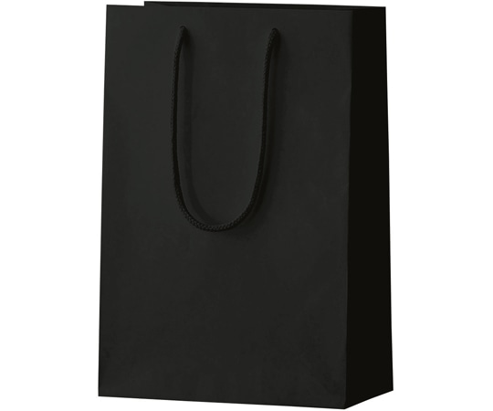 丸玉工業 シャイニーバッグ S ブラック 100枚入  1ケース（ご注文単位1ケース）【直送品】