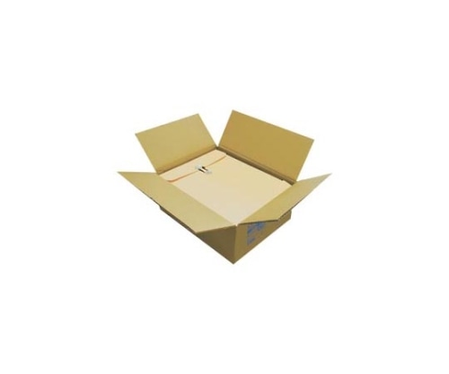 クラウン クラウンクラフトパッカー 1パック(50枚入) CR-HBA450 1パック(ご注文単位1パック)【直送品】