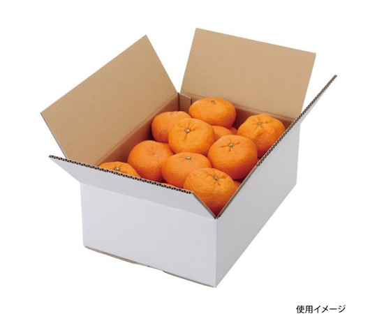 ヤマニパッケージ 青果用贈答箱 A式みかん 白無地 5kg 60枚 L-2232 1ケース（ご注文単位1ケース）【直送品】