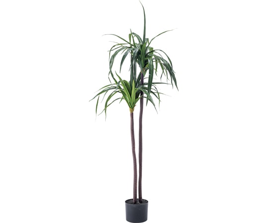 東谷 フェイクグリーン ドラセナ グリーン GRN-15 1個(ご注文単位1個)【直送品】