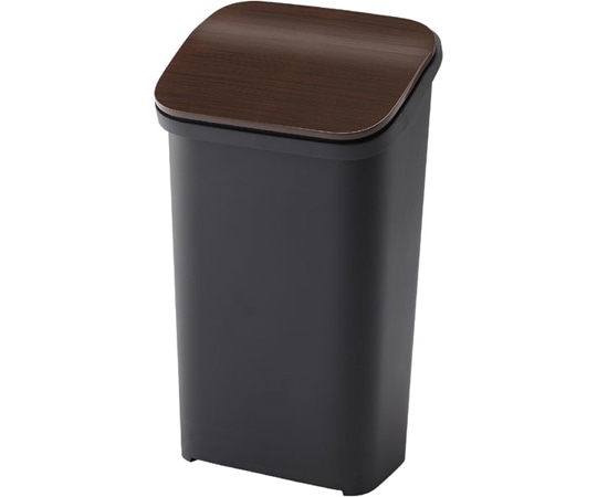 リス スムースプッシュゴミ箱20 WD GBBH016 1個(ご注文単位1個)【直送品】