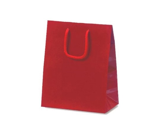 ベルベ 紙袋 ミニバッグ ワイン 100枚 1046 1ケース（ご注文単位1ケース）【直送品】