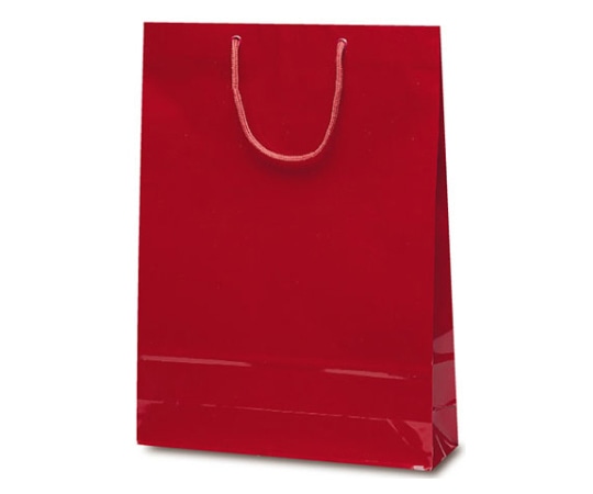 ベルベ 紙袋 エクセルバッグ ワイン 50枚 1103 1ケース（ご注文単位1ケース）【直送品】