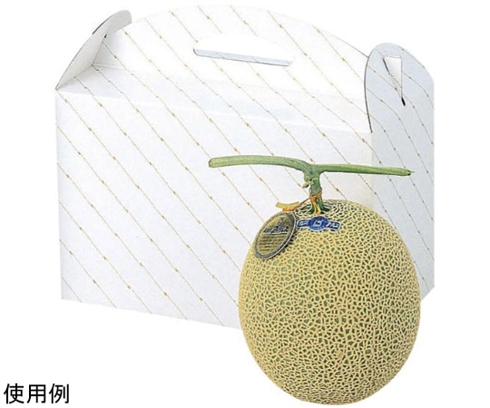 ヤマニパッケージ 青果用贈答箱 金線メロン2個入 100枚 L-255 1ケース（ご注文単位1ケース）【直送品】