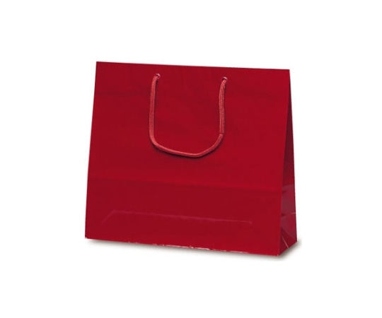 ベルベ 紙袋 ファインバッグ ワイン 50枚 1173 1ケース（ご注文単位1ケース）【直送品】