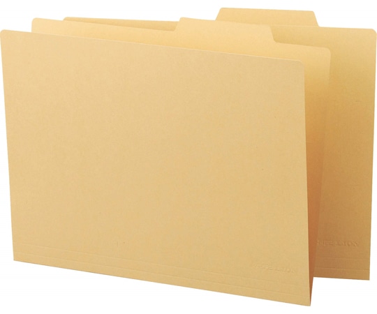 ライオン事務器 個別フォルダー A4-IF2 1パック(ご注文単位1パック)【直送品】