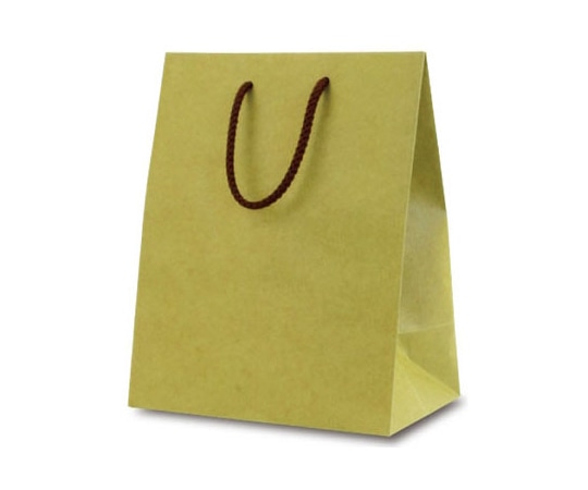 ベルベ 紙袋 手提袋 T-2 カラークラフト 抹茶 100枚 1055 1ケース（ご注文単位1ケース）【直送品】