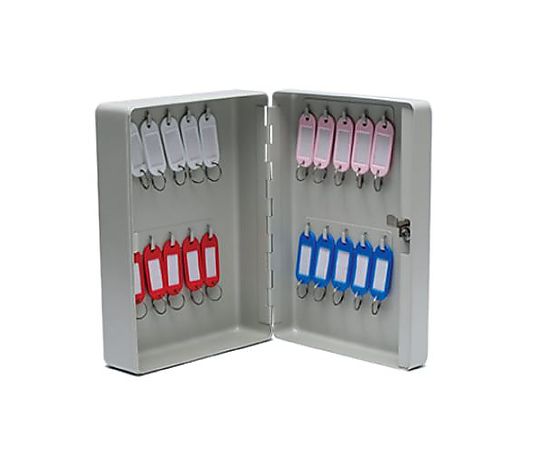 エスコ 180x 80x250mm キーボックス(20本用) EA956VJ-20 1個(ご注文単位1個)【直送品】